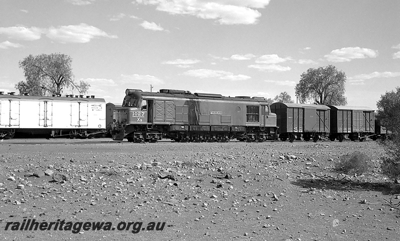 P24292
XB class 1027, shunting vans, cold storage van on adjacent track, Kookynie, KL line, front and side view
