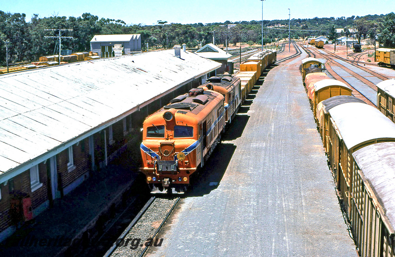 P24330
XA class 1415 and XA class 1412, double heading wheat train comprising open wagons without tarpaulins from Kulin, station building, yard, Narrogin, SWR line, front and side view from elevated position
