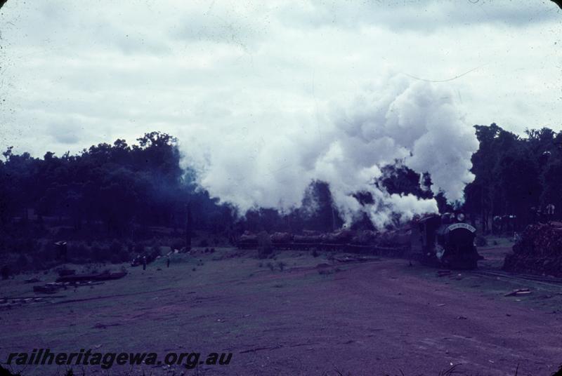 T00023
ARHS Vic Div visit, CS class loco, log wagons, Banksiadale, hauling log train
