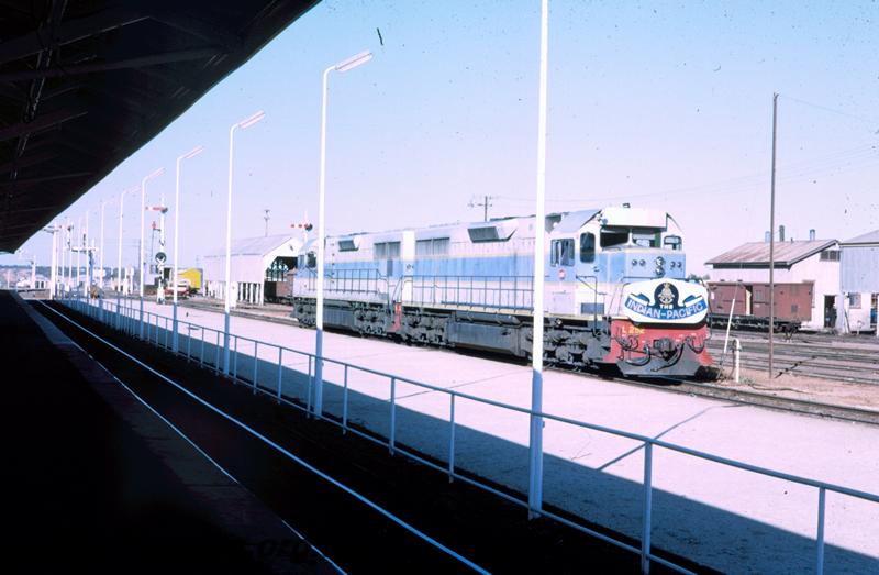 T00104
L class 252 double headed, Kalgoorlie?, standing in yard, 