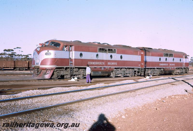 T00105
Commonwealth Railways (CR) GM class 42, Commonwealth Railways (CR) GM class 39 locos, Kalgoorlie. 
