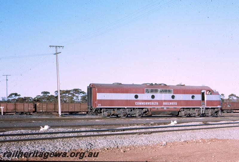 T00106
Commonwealth Railways (CR) GM class loco 29, Kalgoorlie. 
