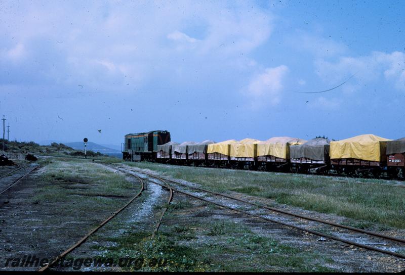 T00108
RA class, Albany, GSR line, on goods train
