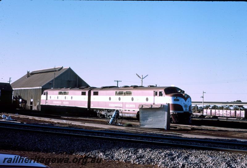 T00110
Commonwealth Railways (CR) GM class 39 & Commonwealth Railways (CR) GM class 42, Kalgoorlie
