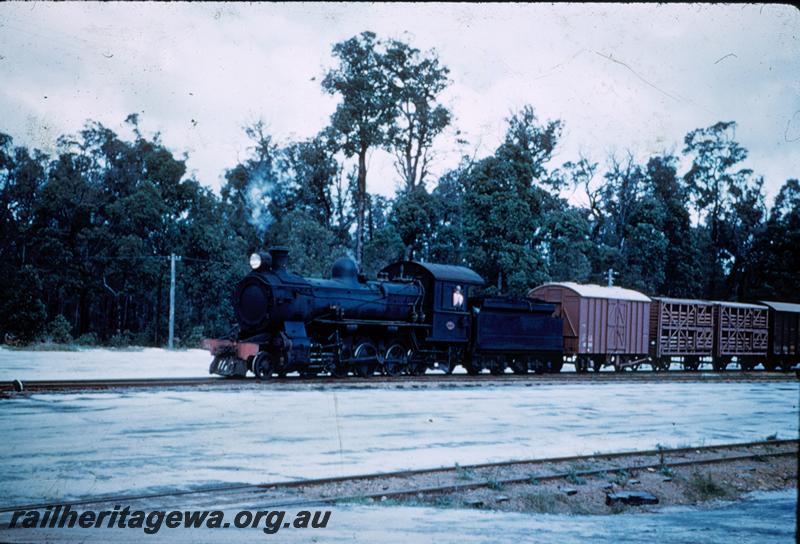 T00142
F class loco, DC class van, location Unknown, on goods train
