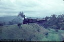 Filename=T00019.jpg
Filesize=82KiB
Dimensions=800x536
Date added=Sep 03, 2014 T00019.jpg