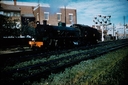 Filename=T00125.jpg
Filesize=129KiB
Dimensions=800x533
Date added=Sep 03, 2014 T00125.jpg