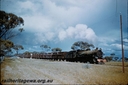 Filename=T00129.jpg
Filesize=95KiB
Dimensions=800x533
Date added=Sep 03, 2014 T00129.jpg