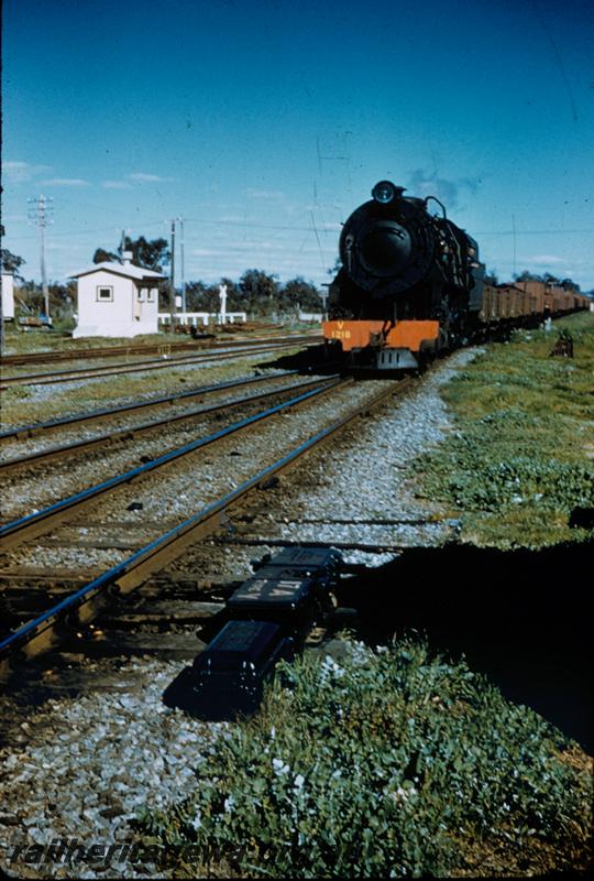 T00259
V class 1218. point motor, goods train, Pinjarra, SWR line.
