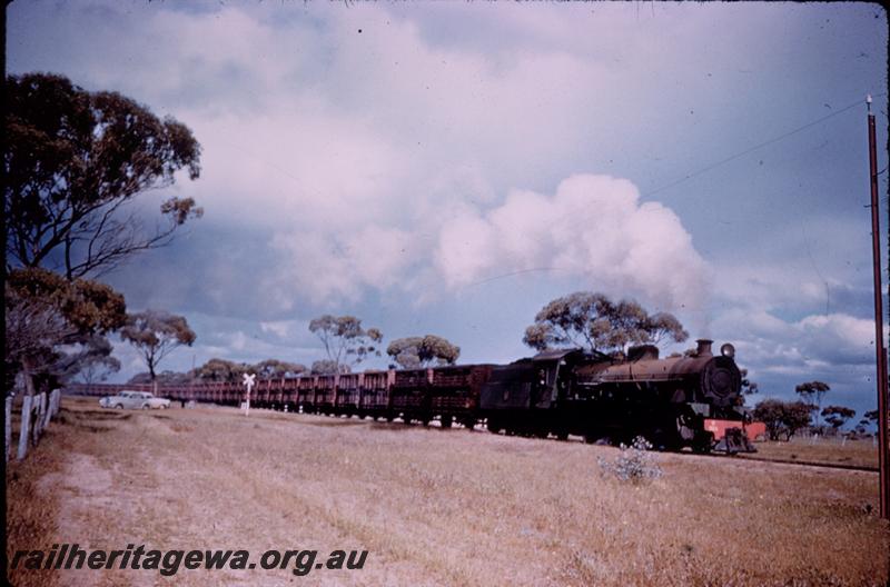 T00289
W class, sheep wagons, stock train, maybe the 