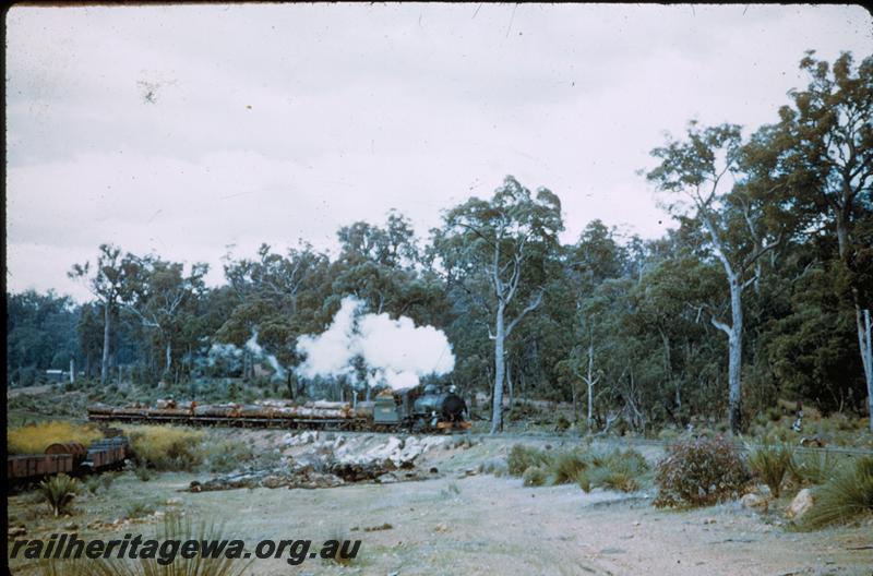 T00294
CS class loco, Banksiadale line, hauling log train
