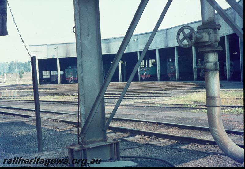 T00386
Roundhouse, Collie, front view, left hand end
