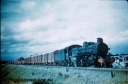 Filename=T00246.jpg
Filesize=90KiB
Dimensions=800x525
Date added=Sep 03, 2014 T00246.jpg