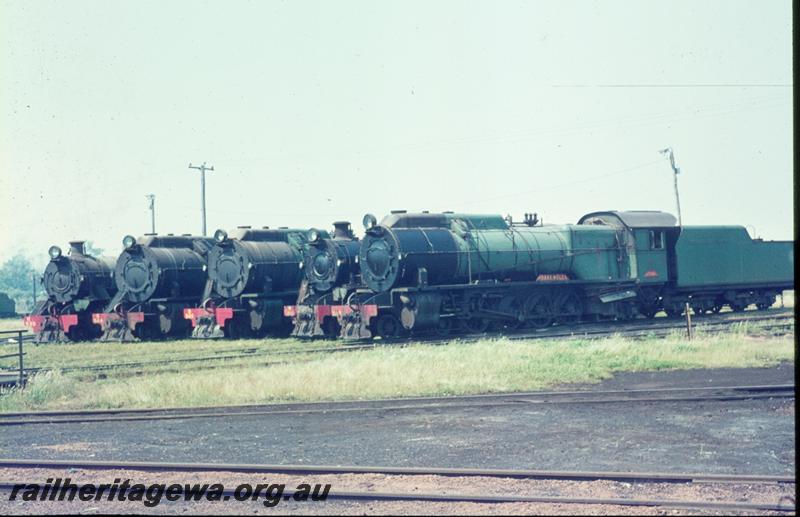 T00458
Five locos, Collie loco depot, lined up around turntable
