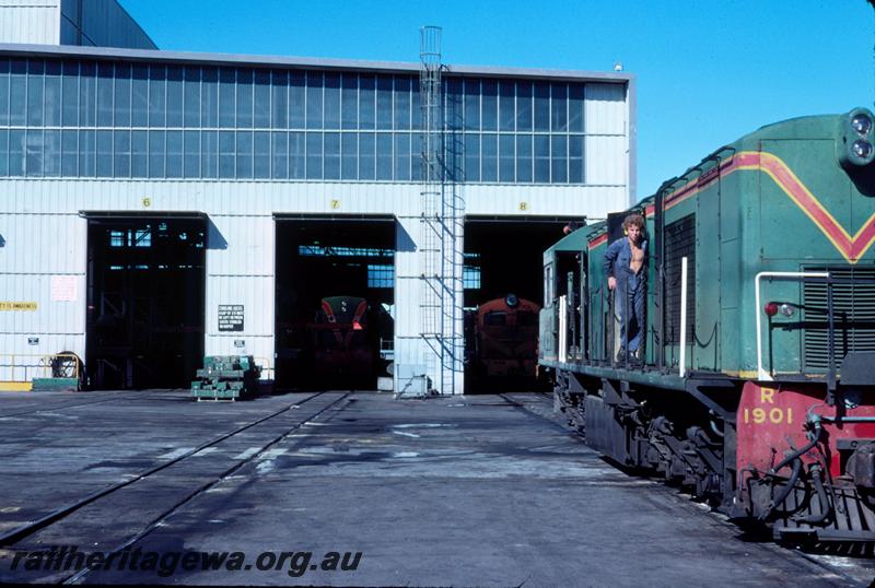 T00536
R class 1901, Forrestfield Yard, being serviced
