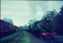 Filename=T00431.jpg
Filesize=78KiB
Dimensions=800x552
Date added=Sep 03, 2014 T00431.jpg