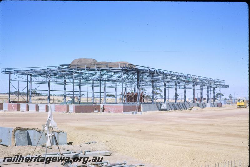 T00603
Goods shed, West Merredin, EGR line, under construction
