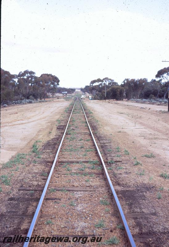 T00703
Track work, narrow gauge, Lefroy-Widgiemooltha line
