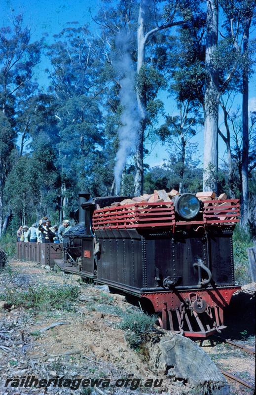 T00779
SSM loco No.7, Shannon River, ARHS tour train
