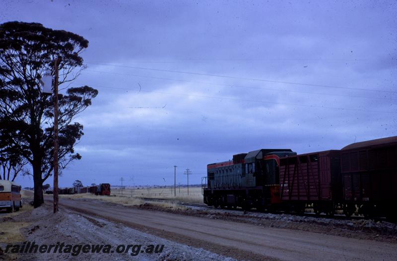 T00798
A class 1511, Waeel, EGR line, on goods train, newly graded Standard Gauge, track bed in foreground
