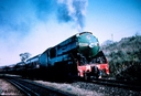 Filename=T00672.jpg
Filesize=112KiB
Dimensions=800x544
Date added=Sep 03, 2014 T00672.jpg