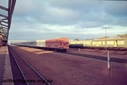 Filename=T00732.jpg
Filesize=78KiB
Dimensions=800x536
Date added=Sep 03, 2014 T00732.jpg