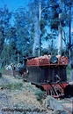 Filename=T00779.jpg
Filesize=174KiB
Dimensions=519x800
Date added=Sep 03, 2014 T00779.jpg