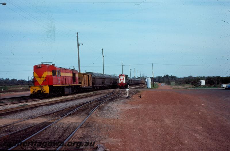T00807
RA class 1910 in International safety orange livery, Kwinana, heading a train of XN class hoppers with a Z class brakevan coupled next to the loco.
