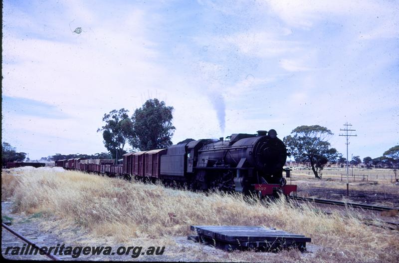 T00811
V class 1211, Hines Hill EGR line, goods train
