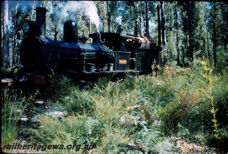 T00829
SSM loco No.4, on bush line
