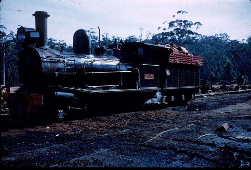 T00839
SSM loco No.7, Shannon River Mill
