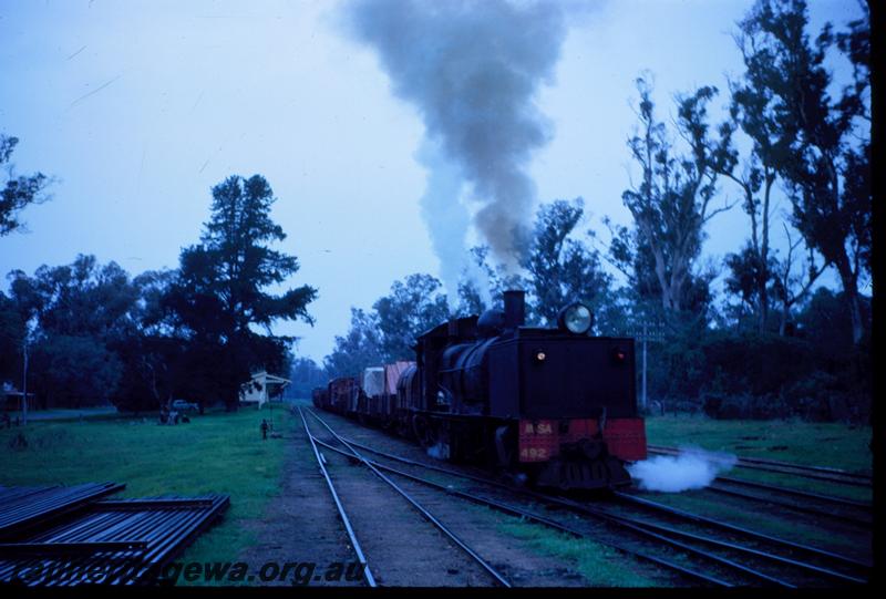 T00842
MSA class 492 Garratt loco, Wonnerup, BB line, on timber train
