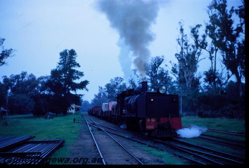 T00842
MSA class 492 Garratt loco, Wonnerup, BB line, on timber train
