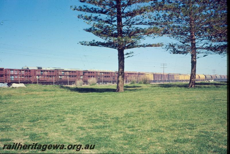 T00866
Stock wagon, Robb's Jetty?
