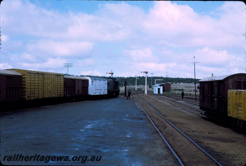 T00913
A class loco, country passenger train, Mullewa, NR line, shunting

