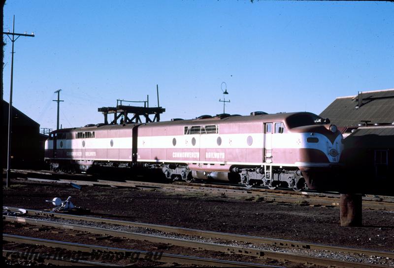 T00947
Commonwealth Railways (CR) GM class 16, Commonwealth Railways (CR) GM class 4.
