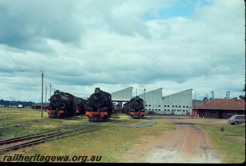 T01004
W class 933, W class 954, Collie
