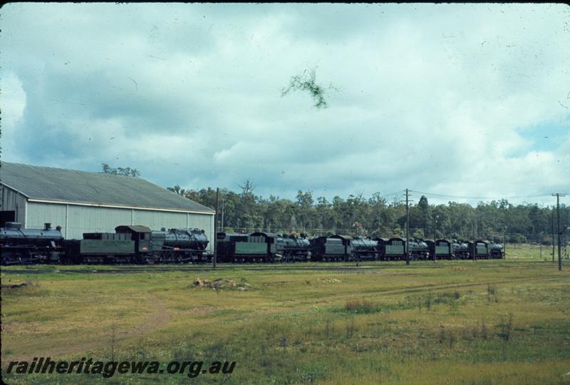 T01009
Steam locos, Collie, stowed
