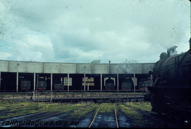 T01010
Roundhouse, Collie
