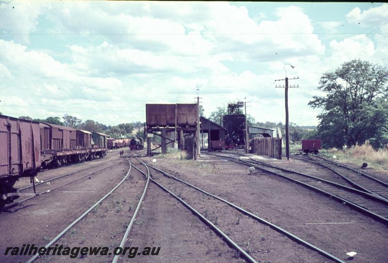 T01072
Loco depot, water tower, Bridgetown, PP line, view down the tracks.
