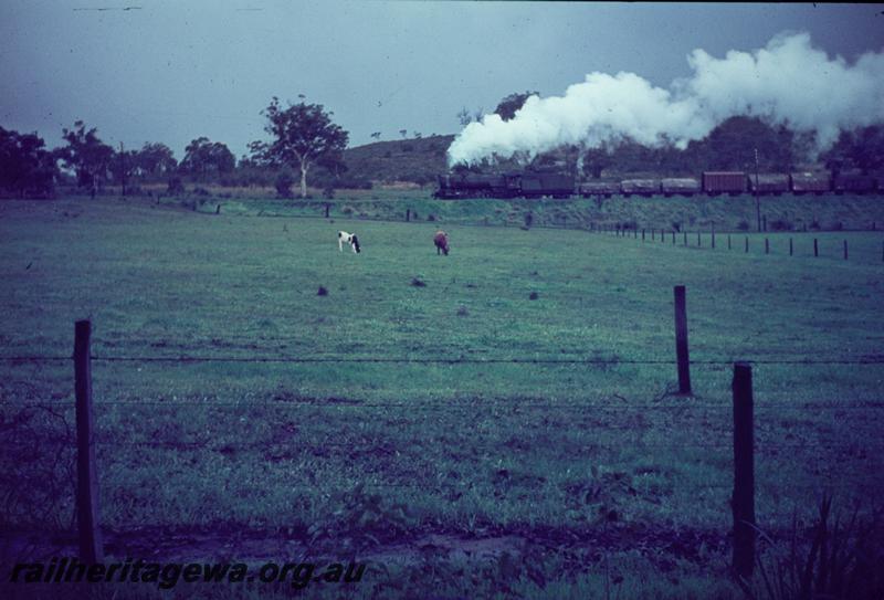 T01083
V class, Swan View, ER line, goods train
