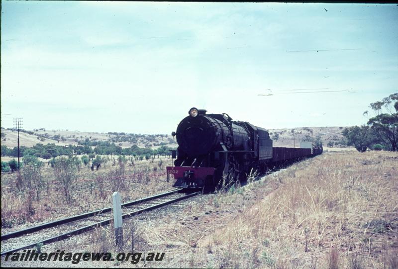 T01132
V class 1202, near Spencers Brook, ER line, goods train
