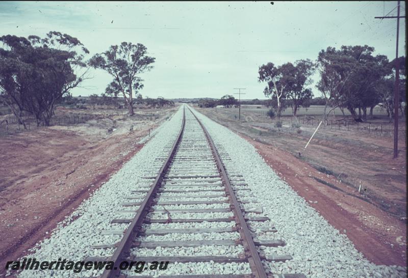 T01183
Track work, Standard Gauge, beyond Northam, new construction
