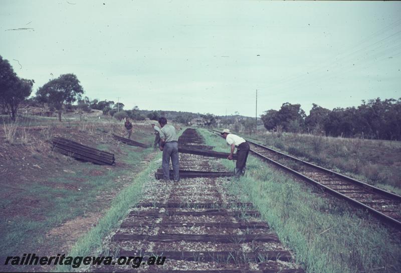 T01184
Removing sleepers, near Spring Hill, ER line
