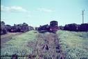 Filename=T01096.jpg
Filesize=123KiB
Dimensions=800x543
Date added=Sep 03, 2014 T01096.jpg