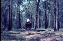 Filename=T01176.jpg
Filesize=190KiB
Dimensions=800x529
Date added=Sep 03, 2014 T01176.jpg