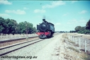 Filename=T01179.jpg
Filesize=112KiB
Dimensions=800x537
Date added=Sep 03, 2014 T01179.jpg