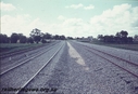 T01182.jpg