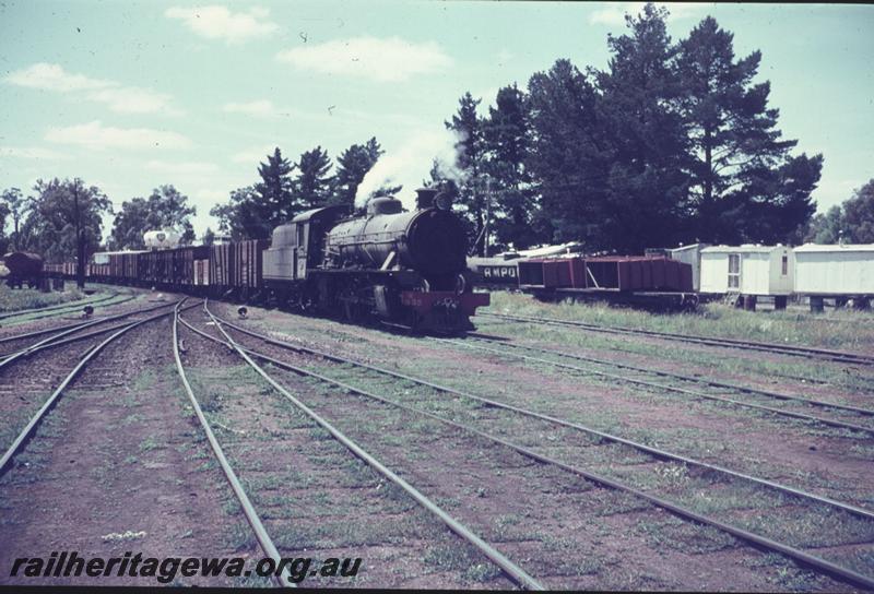 T01220
W class 935, Collie, BN line, arriving on goods train
