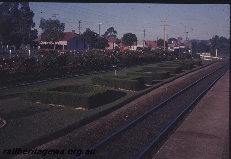 T01264
Station garden, Daglish, hedges spelling the station name
